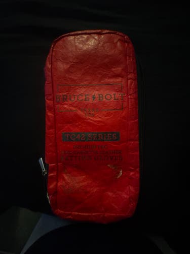 Medium Batting Gloves (Used)