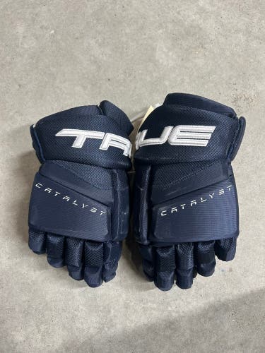 14” True Catalyst 9X Winnipeg Jets Pro Stock Gloves Pro Stock (New) NHL