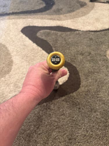 2020 Easton Alpha 360 Alloy USSSA Certified Bat (-10) 18 oz 28" (Used)