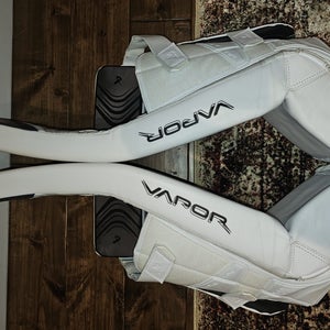Large 2025 Bauer FlyLite Goalie Leg Pads (Used)
