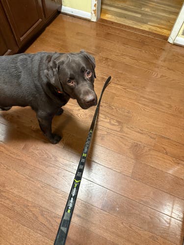 Senior CCM Ribcor Trigger 3D PMT Left Hand Hockey Stick P28 85 Flex (Used)