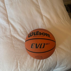 Men's Wilson Basketball (New)