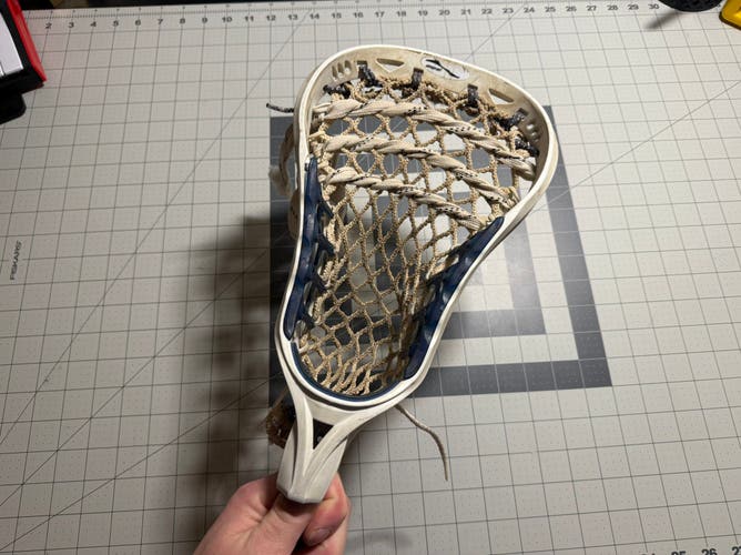Brine Prophecy Head !broken as is!factory strung  (Used)