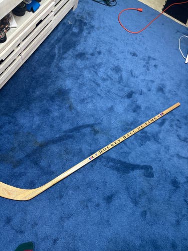 Hockey stick hockey hall of fame