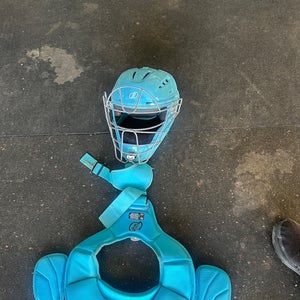 Blue Catcher's Set (Used)