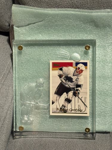 Wayne Gretzky 1995 NHL Plaque