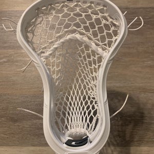 Gait Mustang Head (New)