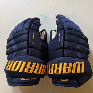 Warrior Alpha DX Pro Gloves 14" Pro Stock (Used)