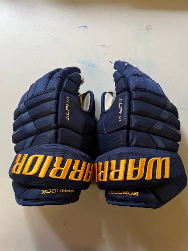 Warrior Alpha DX Pro Gloves 14" Pro Stock (Used)