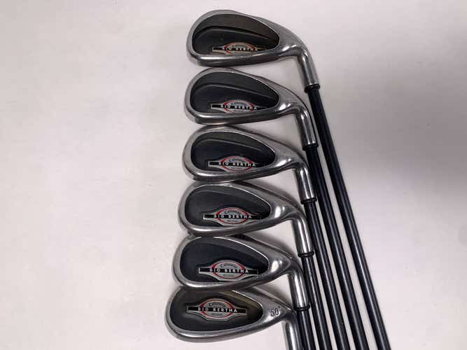 Callaway Big Bertha 2002 Iron Set 6-10+W RCH 75g Regular Graphite Mens RH