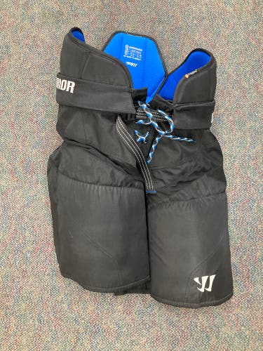 Warrior Covert DT2 Hockey Pants | Senior Large