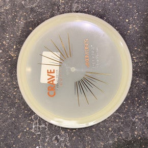 New MVP Axiom Crave Disc 11605-381CRAVEDISC