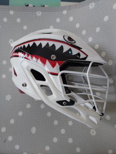 Flying Tigers Warrior Burn Helmet Large