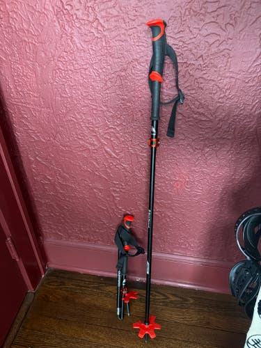 Adjustable Size Burton Ski Poles (Used)