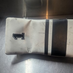 Used Passau Goalie Glove and Blocker Set