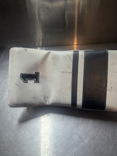 Used Passau Goalie Glove and Blocker Set