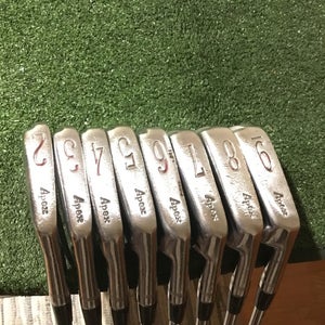 Ben Hogan Apex 1973 Irons Set (2-9 Irons) Stiff TT Lite True Temper Steel Shafts
