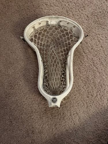 Warrior Formula Used Stringing Head (Used)