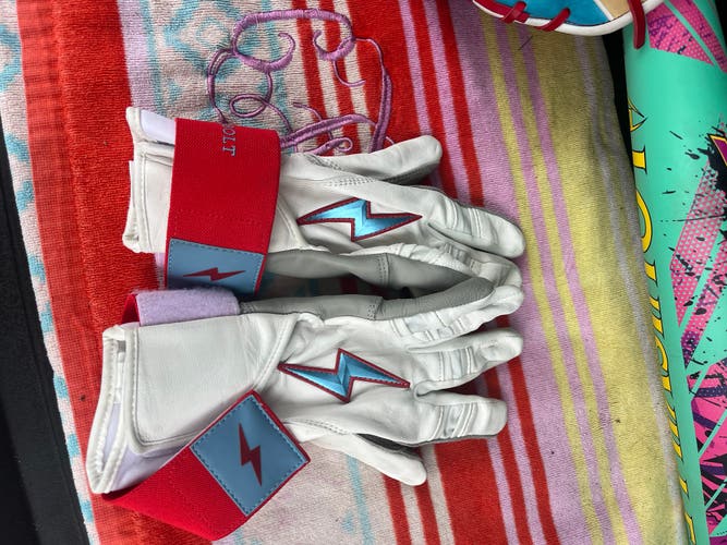 Medium Batting Gloves (Used)
