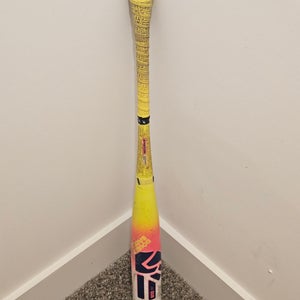 Easton Dub Composite USSSA Certified Bat (-5) 25 oz 30" (Used)