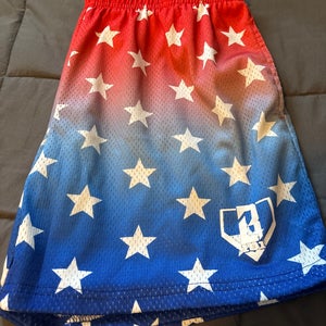 Blue Large Men's Shorts (Used)