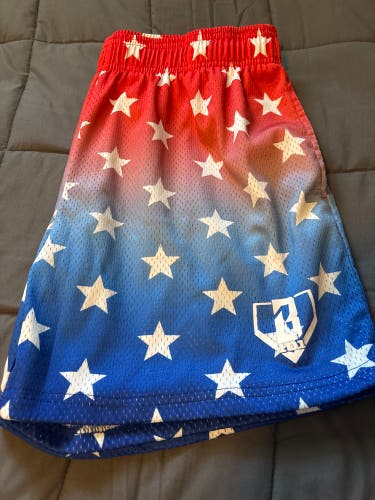 Blue Large Men's Shorts (Used)