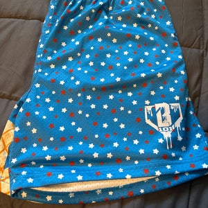 Blue Large Men's Shorts (Used)