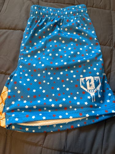 Blue Large Men's Shorts (Used)