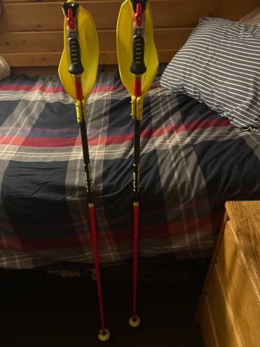 50in (125cm) Leki Venom SL Racing Ski Poles (Used)