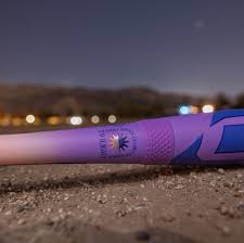 2026 Easton Ghost Advanced Composite Bat (-11) 18 oz 29" (New)