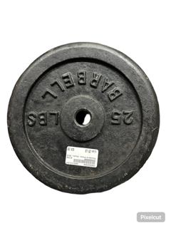 Used Standard Plate (Each) 25 lb 11347-S000263095