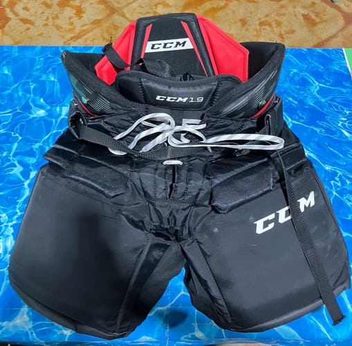 Senior Small CCM 1.9 Hockey Goalie Pants (Used)
