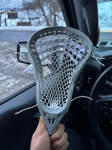 GREY OG GAIT TORQUE , ( RARE ) FRESH STINGING.