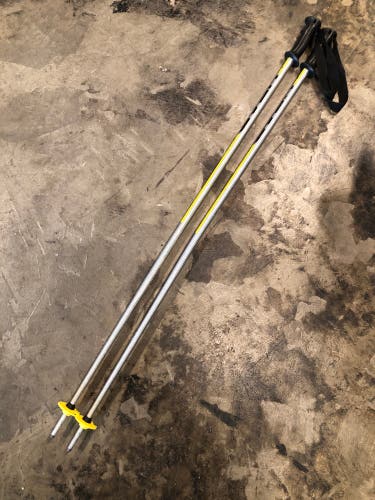 46in (115cm) HEAD All Mountain Ski Poles (Used)