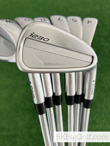 Ping i230 Iron Set 4-W / NS Pro Modus Tour 120 Extra Stiff +1/2