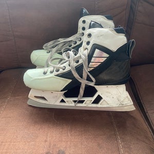 True Pro Return skates