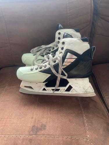 True Pro Return skates