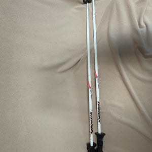 48in (120cm) Rossignol All Mountain Ski Poles (Used)