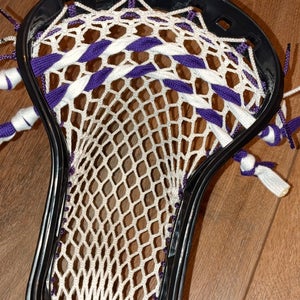 GCA Head (Black) strung purple/white
