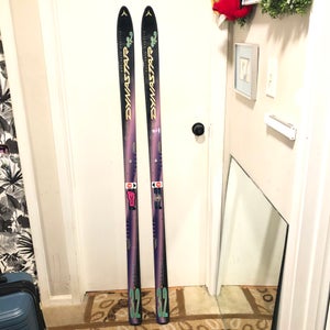 Dynastar 168 cm Skis Without Bindings (Used)