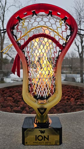 NEW ECD Ion Beta, Strung and Dyed