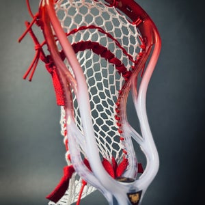 ECD Ion Beta Project (New)