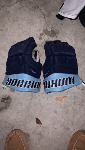 Warrior Alpha Gloves 14" Pro Stock (Used)
