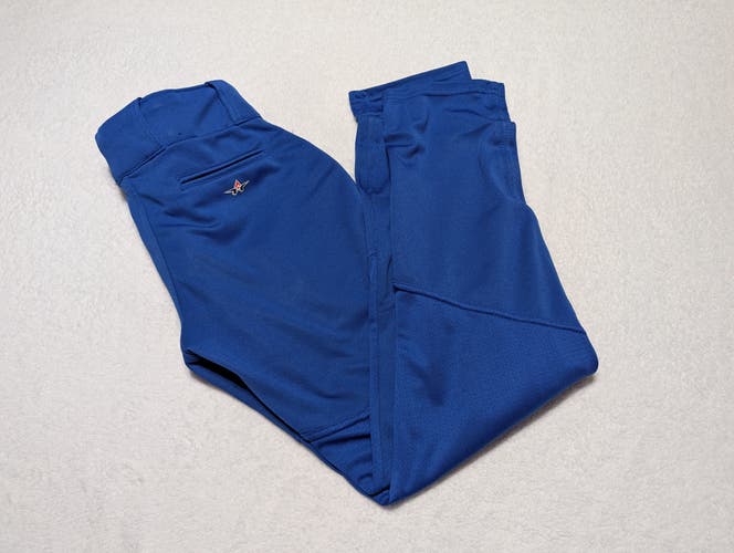Royal Blue Large Youth Alleson Baseball Pants (Used)