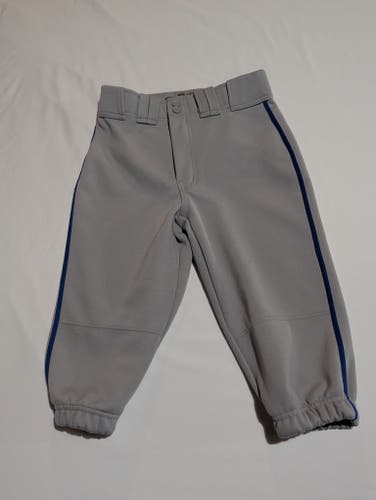 Large Youth Easton Baseball Pants Gray with Royal Piping (Used)