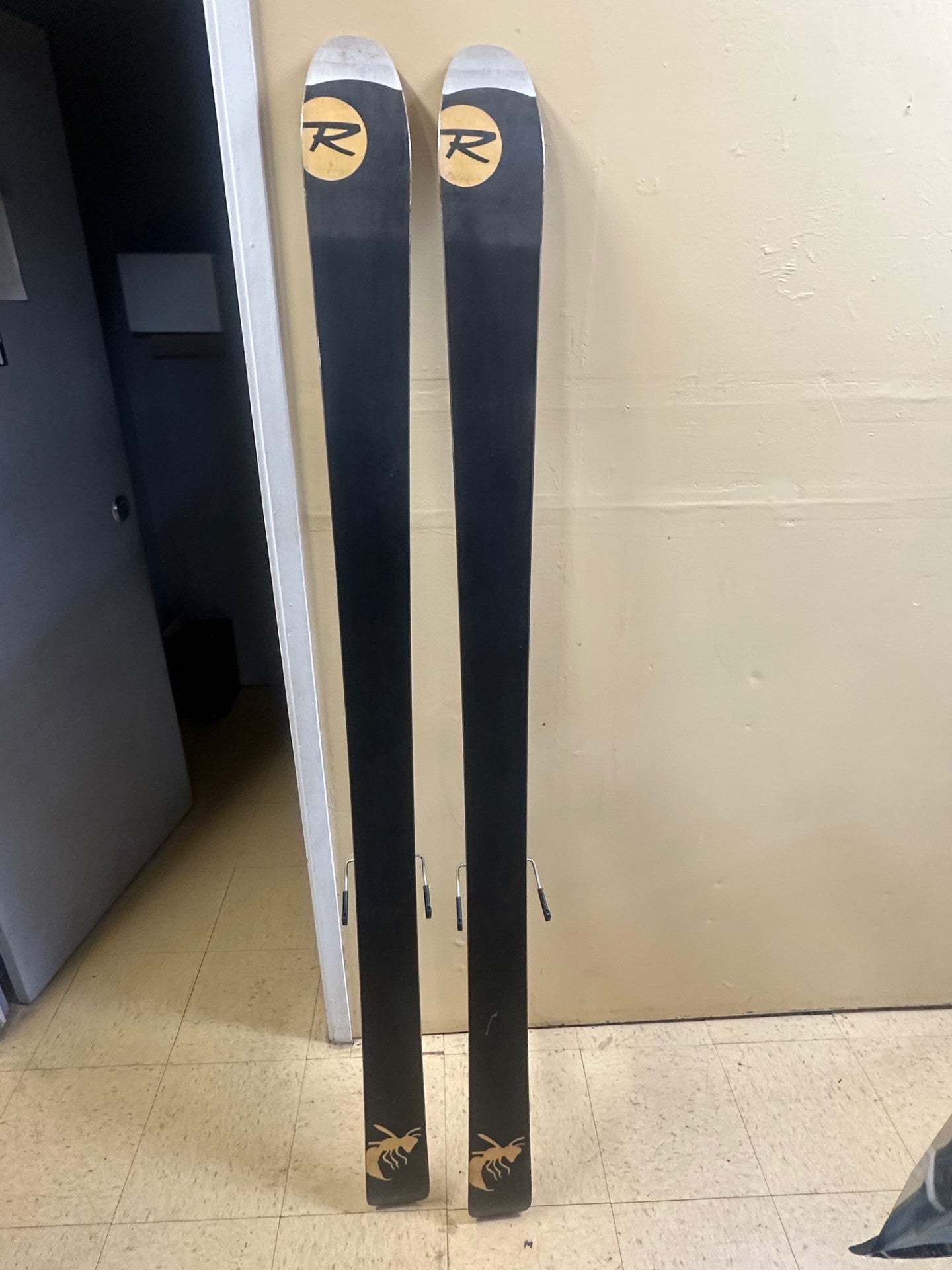 Used Rossignol 186cm Radical World Cup GS Race Skis With Rossignol