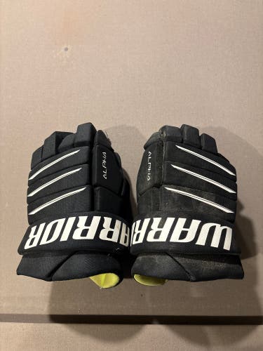 Warrior Alpha QX5 Gloves 15" (Used)