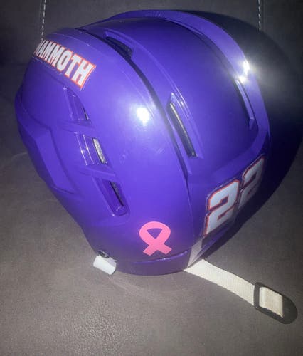 USED ELMIRA MAMMOTH FPHL HELMET size SMALL # 22