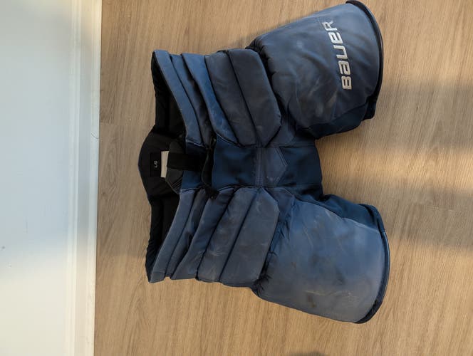 Vanecek Capitals  Pro Return Large Bauer Supreme Goalie Pants