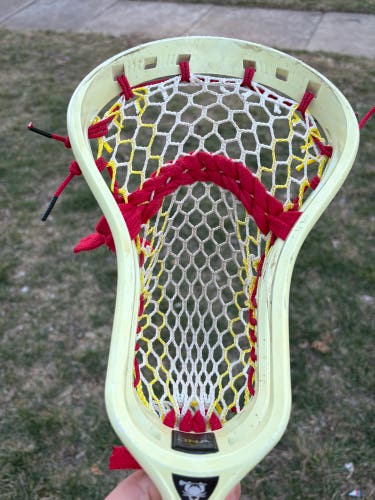 ECD DNA with hero 3.0 mesh